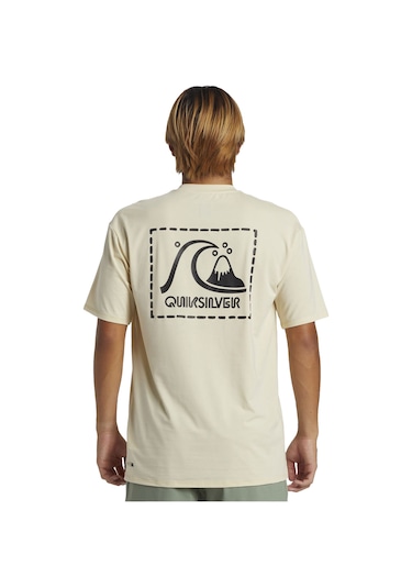 Quıksılver Dna Surf Tee Ss 34053 Çok Renkli