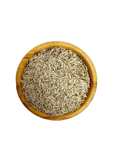 Genta - İnce Yapraklı Ve Sıcağa Dayanıklı Kıvırcık Marul Tohumu