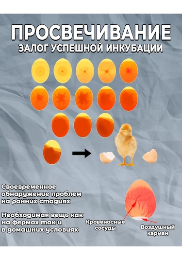 Mixdazzle Yumurta Kontrolü İçin Kuluçka Ovoskopu 396985746