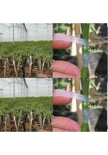 Gmt Kutulu Aşı Bandı 5 Adet