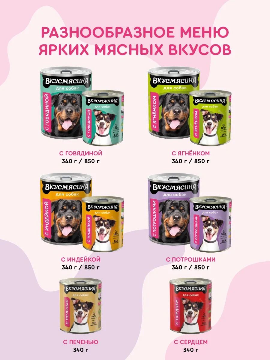 Vkusmasina 850 G 6 Adet İç Organlı Yaş Köpek Maması 9996704