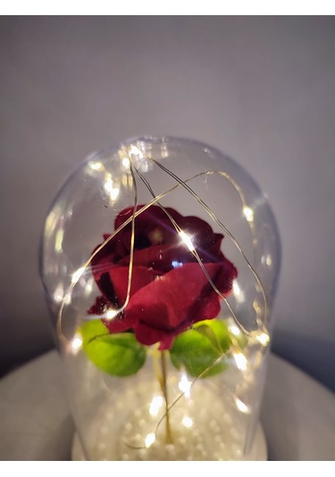 Tek Kırmızı Gül İşıklı Fanus