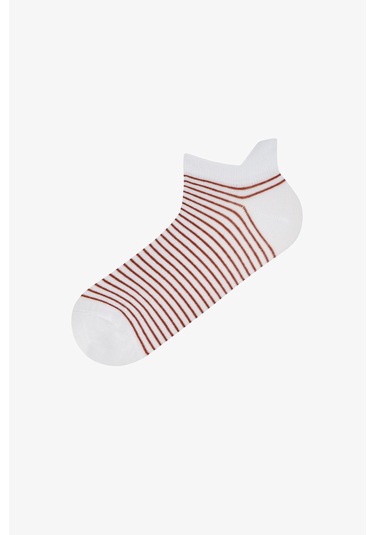 Penti Erkek Renkli Color Stripe 3 3'lü Patik Çorap