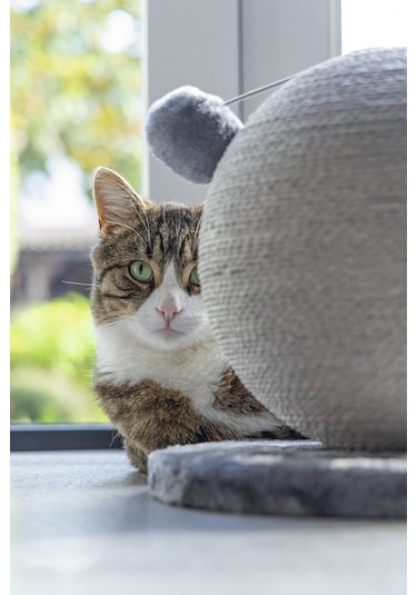 Karlıe Kedi Tırmalama Küresi Bolly Gri 30.5cm