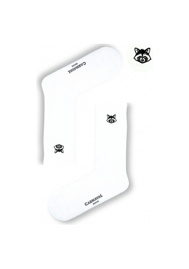 Nakışlı Rakun Desenli Beyaz Erkek Çorap Beyaz