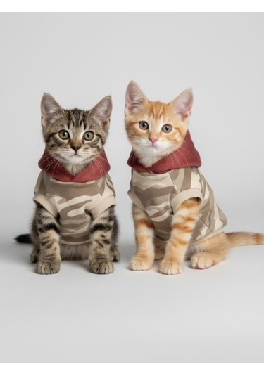 Safari Friends Kapüşonlu Kedi Sweatshirt Küçük Irklar
