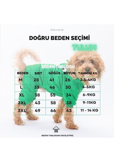 Pettrend Frog Kedi Köpek Tulumu Kedi Köpek Kıyafeti