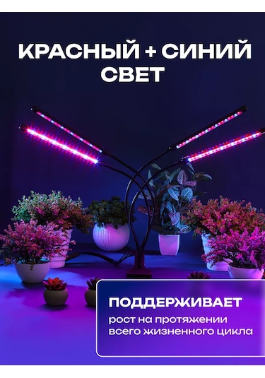 Miland Bitkiler Ve Fideler İçin Fitoluk 205302402 Violet