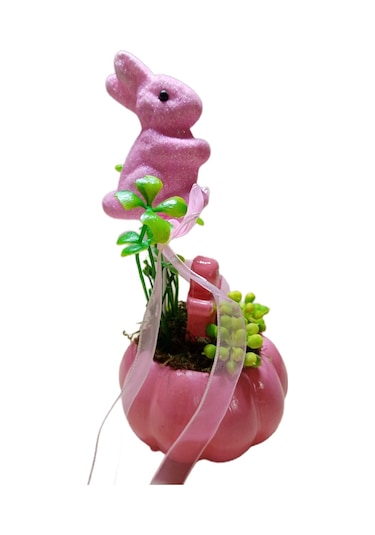 Neolife Yeni Doğan Kız Bebek Hediyesi Aramıza Hoş Geldin Hediyesi Sevimli Tavşancık Detaylı Kabak Teraryum