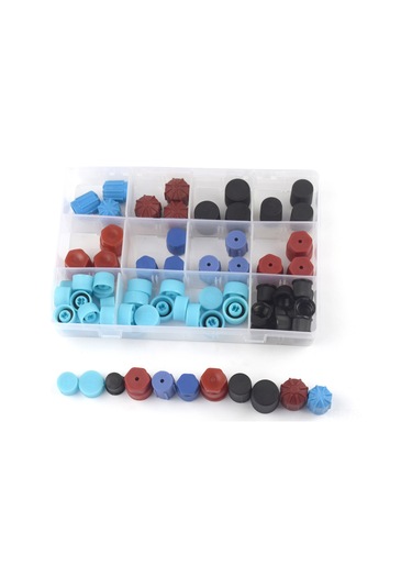 Ranyeek Otomobil Klima Bakım Tulumu, 77 Adet Standart Servis Port Kapakları, Çoğu Model Uyumlu, Kolay Kurulum, Dayanıklı Abs Malzeme, Saklama Kutusu İçerir