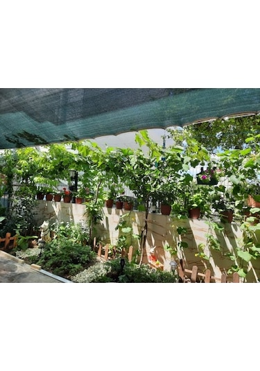 Morilu Balkon Gölgeliği - 55'lik Yeşil File - Şeritli Halkalı - Otopark Gölgelik - Araba Gölgeliği