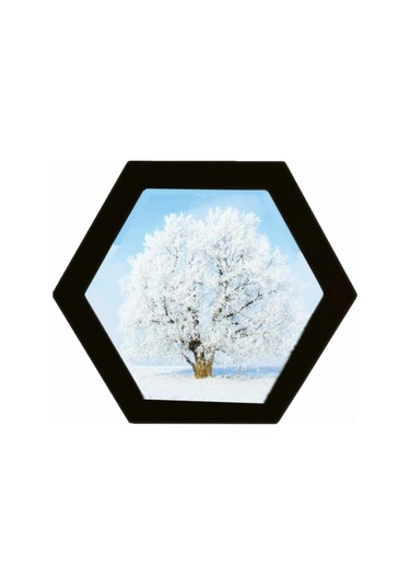 Hfambition Ahşap Altıgen Duvar Fotoğraf Çerçevesi Seti - 2'li, Ev Ve Ofis Dekoru İçin Şık Tasarım