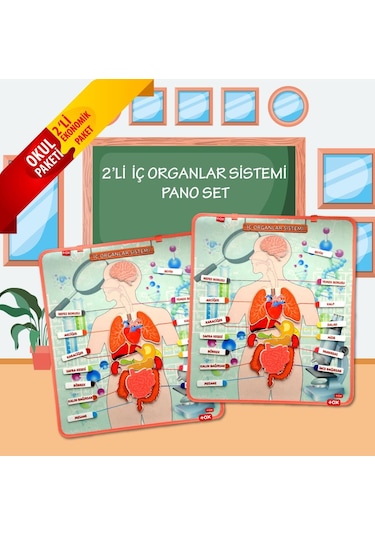 2 Set - 52 Parça Tox Iç Organlar Sistemi Keçe Duvar Panoları . Eğ