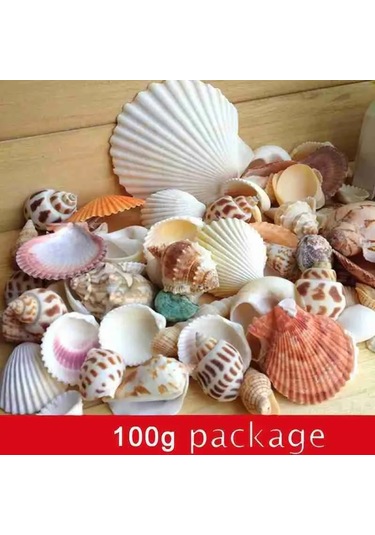 Dofolink 100g Doğal Deniz Kabukları - Akvaryum, Bahçe, Foto Çerçevesi Ve Su Flakonları İçin Dekoratif Dıy Malzeme 30-35 Adet