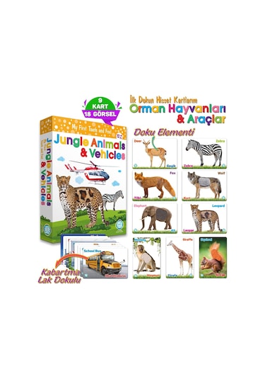 Circle Toys Dokun Hisset Orman Hayvanları Ve Araçlar