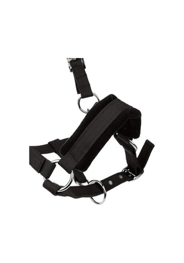 Suntek Kalınlaşmak Midilli At Boyundan Bağlamalı Baş Yaka At Çok Renkli