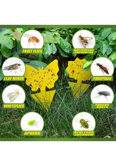 Singree 20'li Yapışkan Böcek Tuzağı - Uv Dayanıklı, Kokusuz, İç/dış Mekan Bitkileri İçin