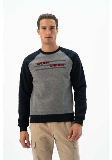 Arma Erkek Büyük Beden Bisiklet Yaka Sweatshirt K24124884401 Gri Arma Erkek Büyük Beden Bisiklet Yaka Sweatshirt K24124884401 Gri