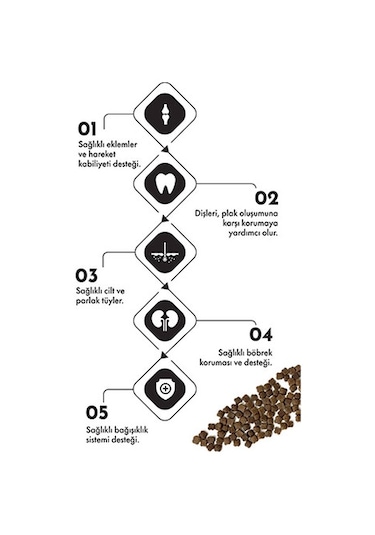 Pro Performance Kuzulu Ve Yaban Mersinli Küçük Irk Yavru Köpek Maması 12 Kg 124-10022.06