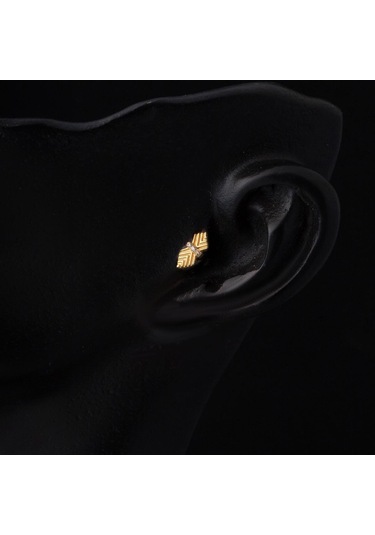 Bilezikci Amazon 14 Ayar Altın Tragus Küpe Kphsy14k22482 Sarı
