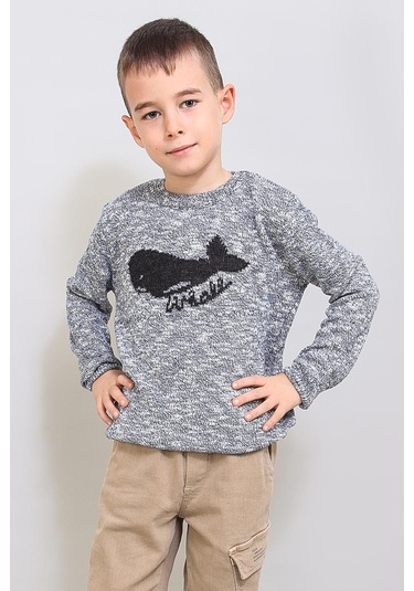 Alexandergardı Çocuk Desenli Triko Kazak C19-ag50384 Gri