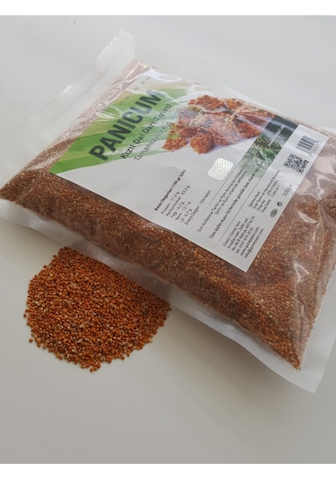 Kızıl Dal Darı Tanesi̇ 500 Gr Pani̇cum