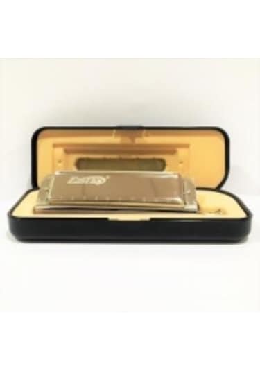 East Top T10-40 Harmonica Bakır Gövde / Kromatik Pompalı / 10 Delikli / Gümüş Renk Mızıka