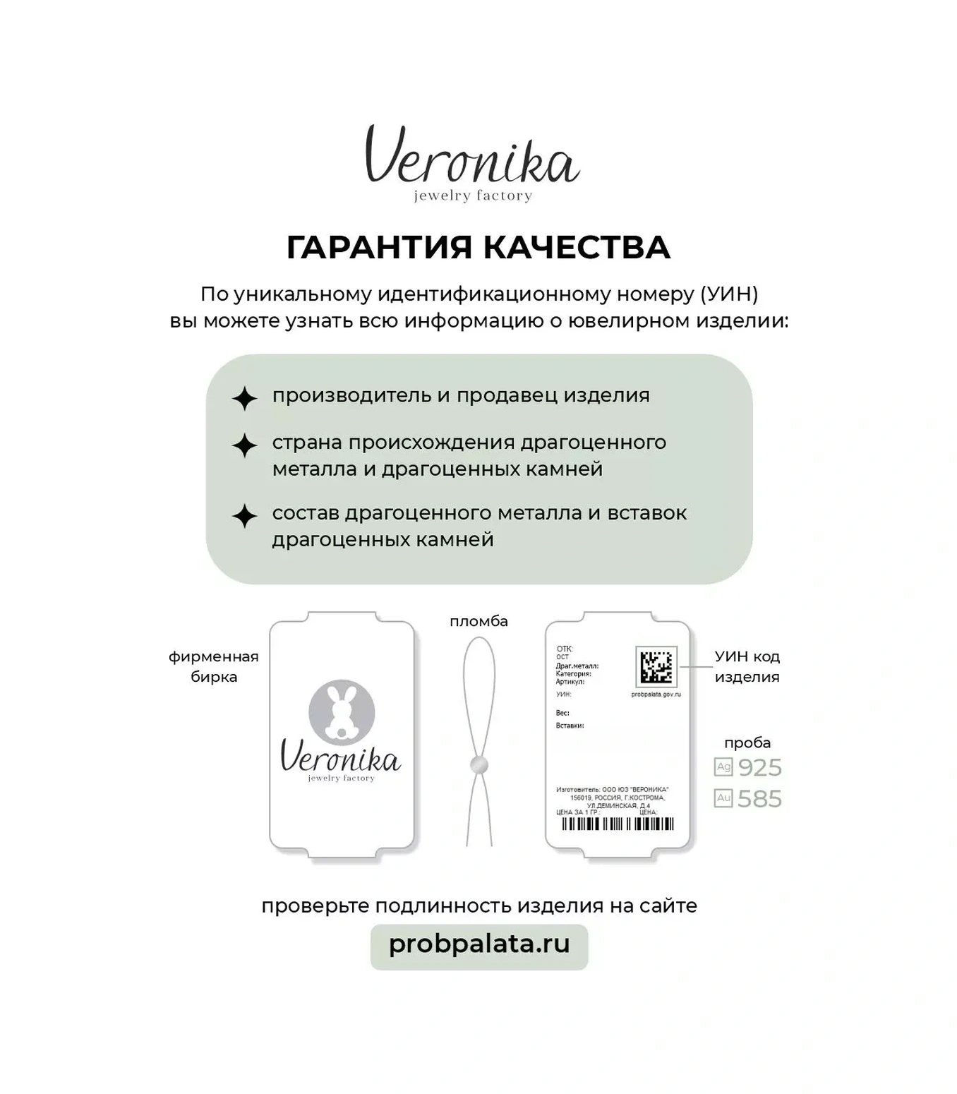 Veronika 925 Ayar Gümüş Kare Pırlanta Taşlı Pıçak Küpe 449754122 Altın