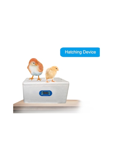 Youmex Yüksek Hassasiyetli Kuluçka Ve Evcil Hayvan Termostatı - Zfx-w1302