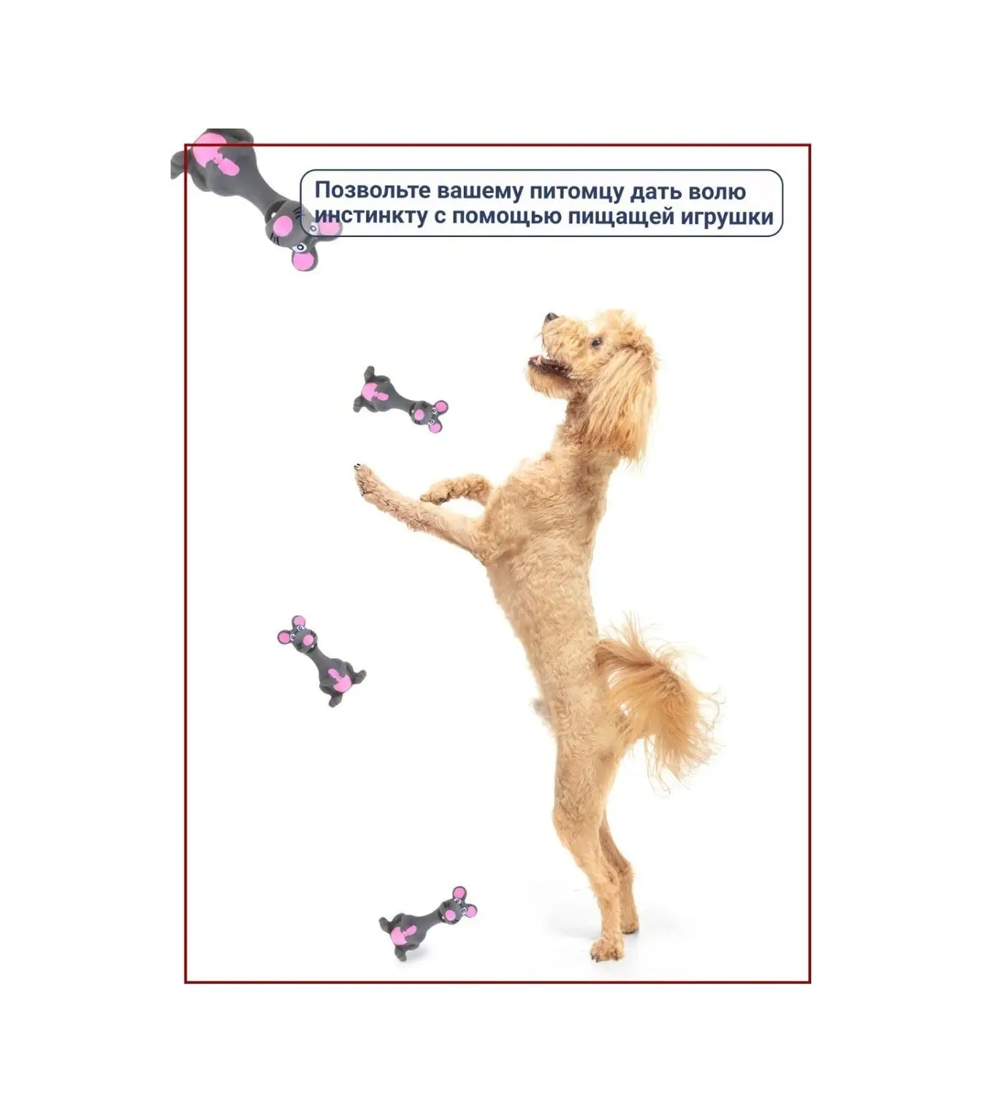 Olash Pets Yerden Çıkan Köpek Oyuncağı Latıksından 154549783