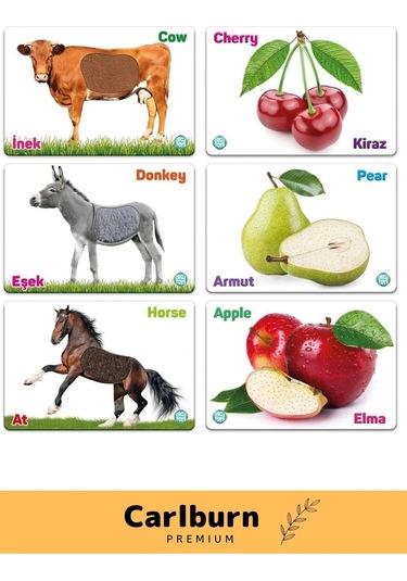 Özel Üretim Görsel Algı Eğlenceli Öğrenme Eğlenceli Dokun Hisset Çiftlik Hayvanları Ve Meyveler