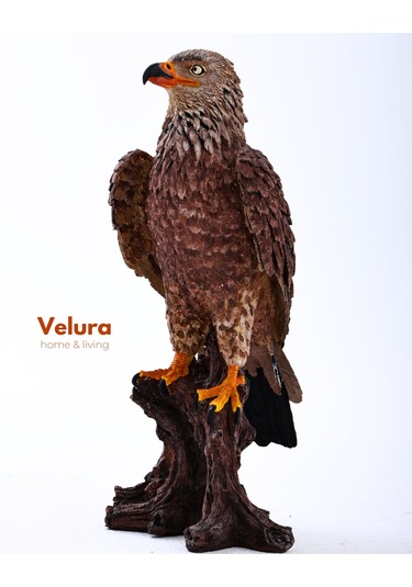 Berkut Kartal Biblo & Heykel & Büst & Figür