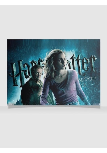 Hp Tasarımlı 24 33 Cm 350 Gr. Kuşe Kağıt Poster Pytkpstras038
