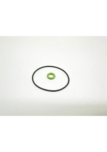 Bmw 1-3 Serisi Vakum Pompa Oring Set Reinz F30.f20.n13 -11127634