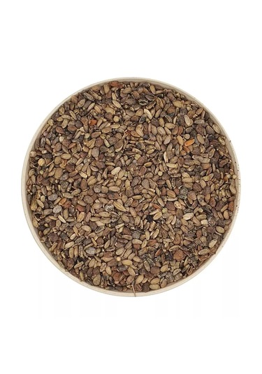 Devedikeni Tohumu 100gr Elenmiş Yeni Mahsül Organik