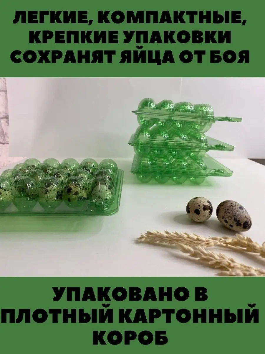 Tpt Bıldırcın Yumurtaları İçin 20 Gözlü Kutu - 100 Adet 119389110 Yeşil