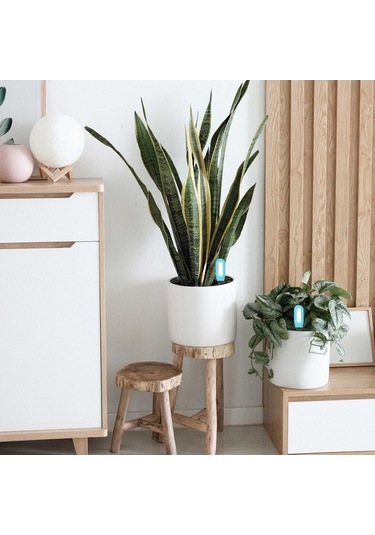 Zyzqstore Tuya Zigbee Toprak Test Cihazı, Akıllı Nem Ve Sıcaklık Dedektörü, Cep Tipi, Çok Renkli Model Çok Renkli