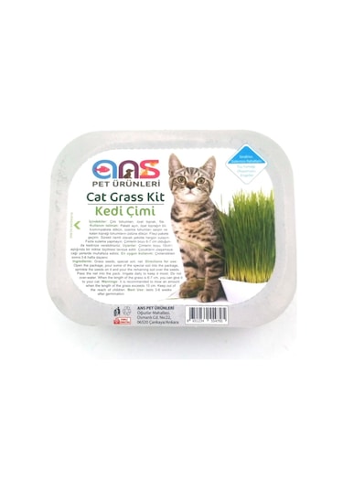 Ans Kedi Çimi