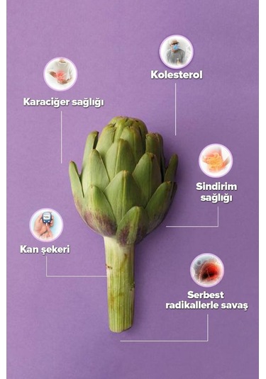Zühre Ana Ekstraktlı Enginar Suyu 500 ML