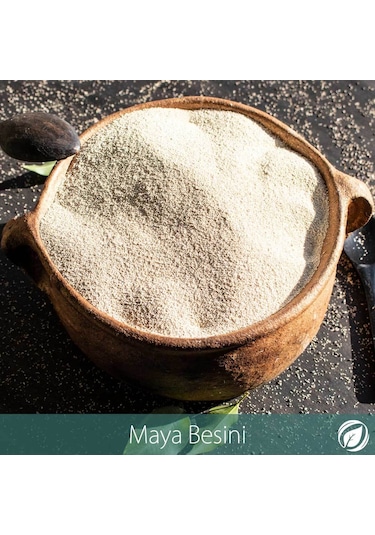 Alfasol Maya Besini 100 G