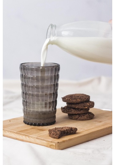 Allegra Füme Akrilik Bardak 400 Ml Modern Su Ve Meşrubat Bardağı Kırılmaya Dayanıklı Cam Değildir Tekli - 9075690869146