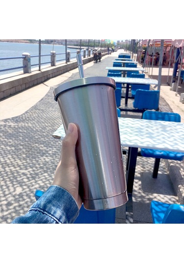 Samdoo 500ml 304 Çelik Termos Bardak, İçecek Su Için, Portatif, Pipetli Kapağıyla, Gümüş Renkli, Ofis Hediyesi