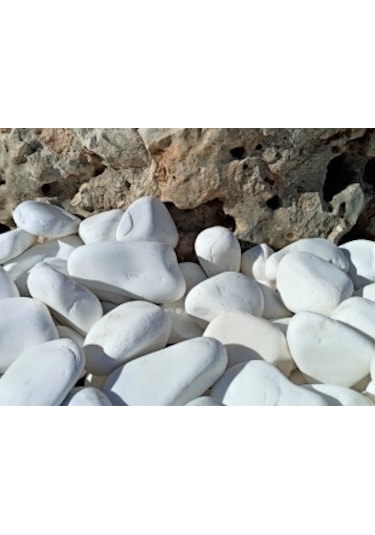 Dolomit Taş 5 Kg 4-6 Cm Beyaz Dolomit Bahçe Taşı Çakıl Taşı