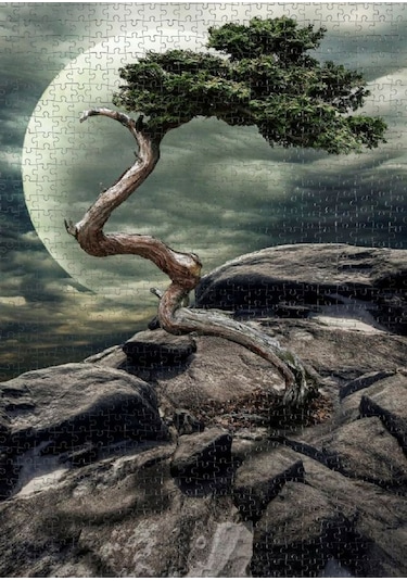 Nova 1000 Parça Doğanın Mucizesi Puzzle