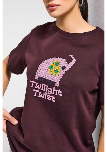 Itsbasic Kadın Kahve Bordo Renk W5 Nakış Detaylı Oversize Tasarım T-shirt