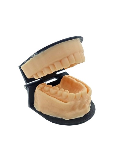 Barışhan Medikal Silikon Çene Diş Dikiş Modeli Ortodontik Alt Üst Çene Periodontal Sütür Eğitim Modeli-6