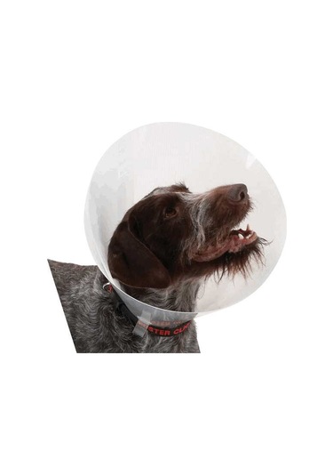 Elisabeth Yakalık 350 mm