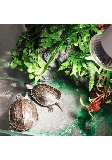 Sones Uva+uvb Tam Spektrumlu Güneş Sürüngen Lambası Kertenkele Işık Kaplumbağa Basking Lambası, Özellikler: 25w