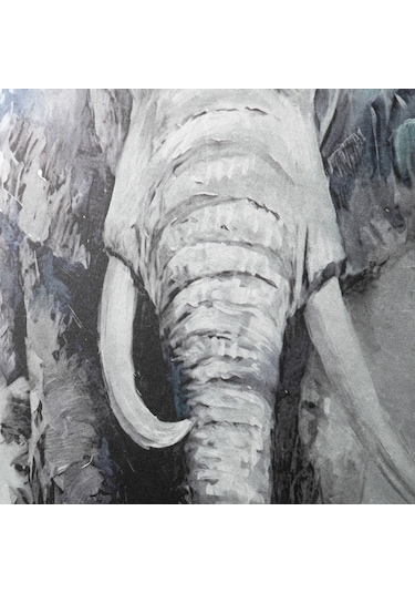 Elephas Çerçeveli Tablo 100x100 Cm