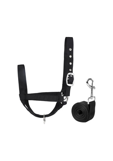 Homyl Bull Bridle Head Harness Supply Naylon İnek Yular M Siyah